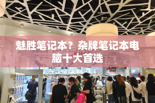魅胜笔记本？杂牌笔记本电脑十大首选-第1张图片-星选测评