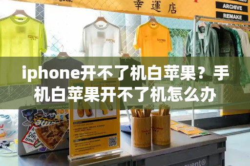 iphone开不了机白苹果？手机白苹果开不了机怎么办-第1张图片-星选测评