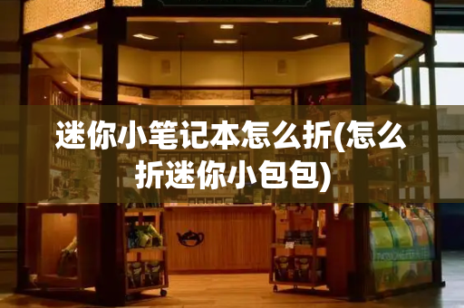 迷你小笔记本怎么折(怎么折迷你小包包)