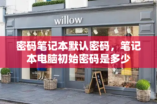 密码笔记本默认密码，笔记本电脑初始密码是多少-第1张图片-星选测评