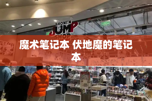 魔术笔记本 伏地魔的笔记本-第1张图片-星选测评
