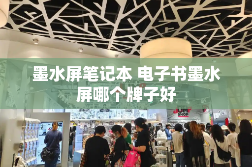 墨水屏笔记本 电子书墨水屏哪个牌子好