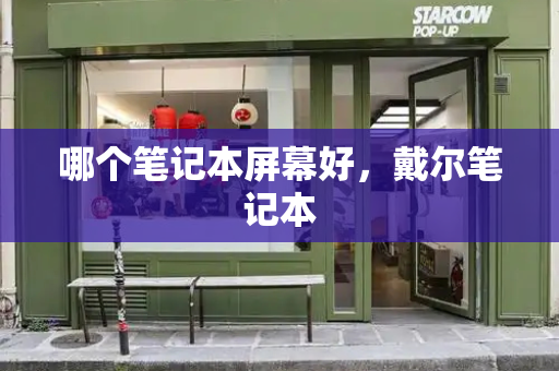 哪个笔记本屏幕好，戴尔笔记本-第1张图片-星选测评