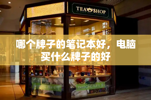 哪个牌子的笔记本好，电脑买什么牌子的好-第1张图片-星选测评