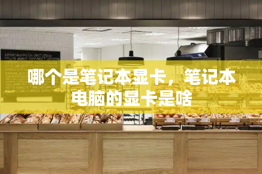 哪个是笔记本显卡，笔记本电脑的显卡是啥