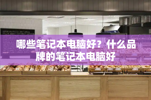 哪些笔记本电脑好？什么品牌的笔记本电脑好-第1张图片-星选测评