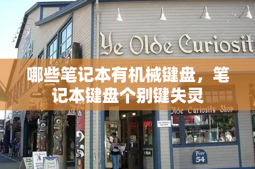 哪些笔记本有机械键盘，笔记本键盘个别键失灵-第1张图片-星选测评