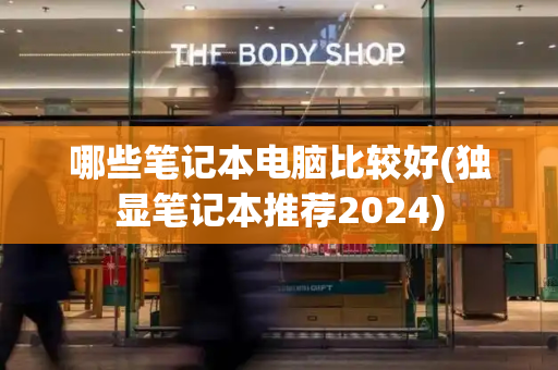 哪些笔记本电脑比较好(独显笔记本推荐2024)-第1张图片-星选测评
