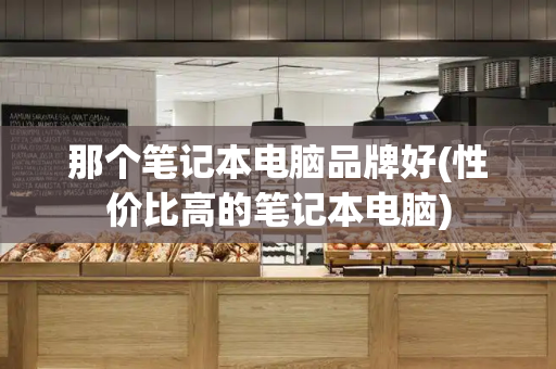 那个笔记本电脑品牌好(性价比高的笔记本电脑)