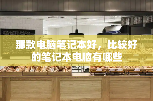 那款电脑笔记本好，比较好的笔记本电脑有哪些-第1张图片-星选测评