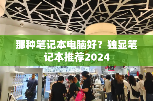 那种笔记本电脑好？独显笔记本推荐2024