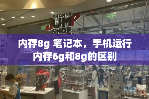 内存8g 笔记本，手机运行内存6g和8g的区别