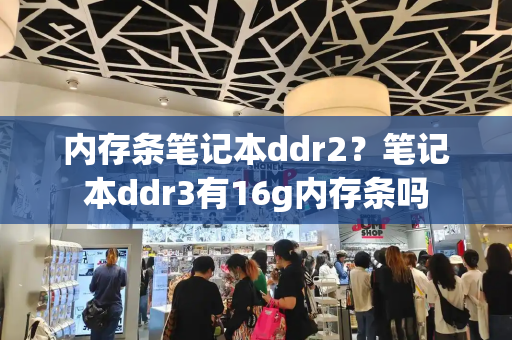 内存条笔记本ddr2？笔记本ddr3有16g内存条吗-第1张图片-星选测评