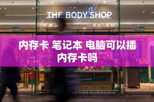 内存卡 笔记本 电脑可以插内存卡吗