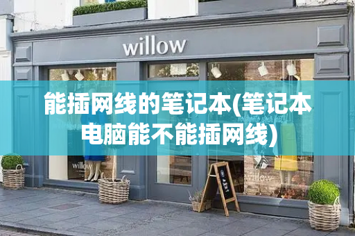 能插网线的笔记本(笔记本电脑能不能插网线)