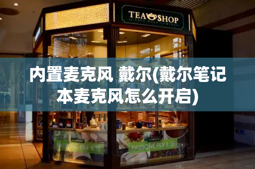 内置麦克风 戴尔(戴尔笔记本麦克风怎么开启)-第1张图片-星选测评