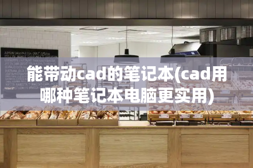 能带动cad的笔记本(cad用哪种笔记本电脑更实用)