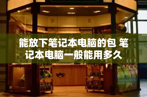 能放下笔记本电脑的包 笔记本电脑一般能用多久-第1张图片-星选测评