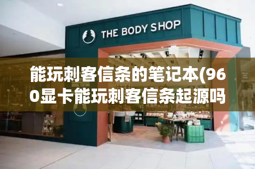 能玩刺客信条的笔记本(960显卡能玩刺客信条起源吗)