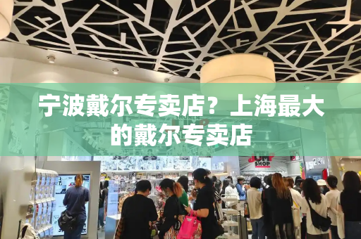 宁波戴尔专卖店？上海最大的戴尔专卖店