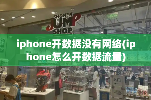 iphone开数据没有网络(iphone怎么开数据流量)-第1张图片-星选测评
