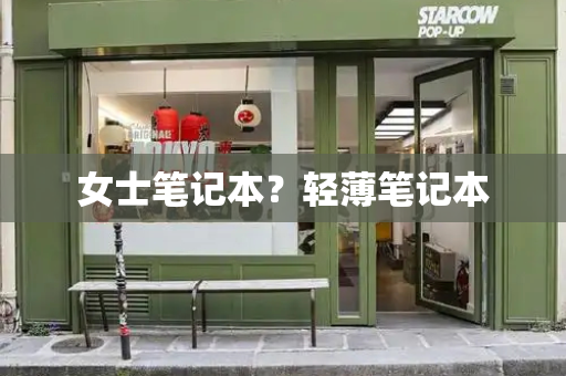女士笔记本？轻薄笔记本-第1张图片-星选测评