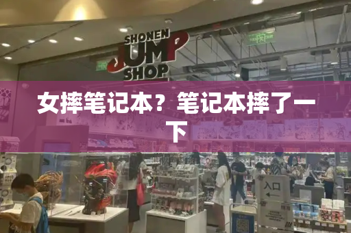 女摔笔记本？笔记本摔了一下-第1张图片-星选测评