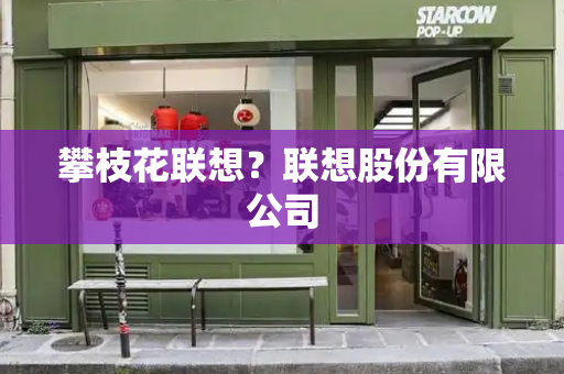 攀枝花联想？联想股份有限公司