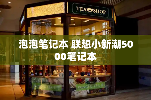 泡泡笔记本 联想小新潮5000笔记本