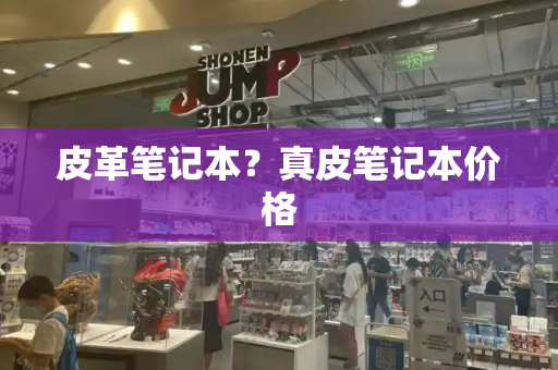 皮革笔记本？真皮笔记本价格-第1张图片-星选测评