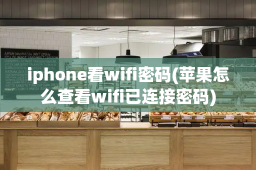 iphone看wifi密码(苹果怎么查看wifi已连接密码)