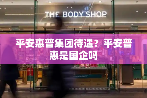 平安惠普集团待遇？平安普惠是国企吗-第1张图片-星选测评