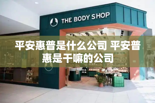 平安惠普是什么公司 平安普惠是干嘛的公司