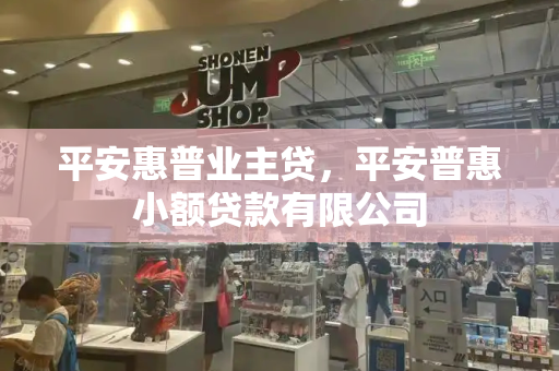 平安惠普业主贷，平安普惠小额贷款有限公司