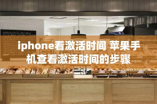 iphone看激活时间 苹果手机查看激活时间的步骤-第1张图片-星选测评