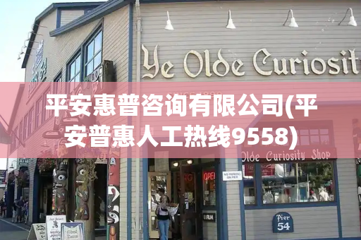 平安惠普咨询有限公司(平安普惠人工热线9558)-第1张图片-星选测评