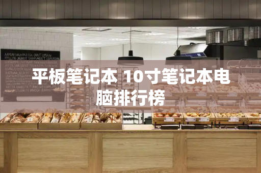 平板笔记本 10寸笔记本电脑排行榜-第1张图片-星选测评