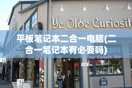 平板笔记本二合一电脑(二合一笔记本有必要吗)