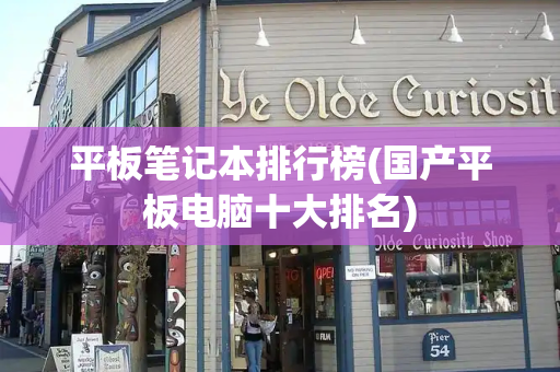 平板笔记本排行榜(国产平板电脑十大排名)