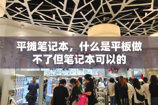 平摊笔记本，什么是平板做不了但笔记本可以的