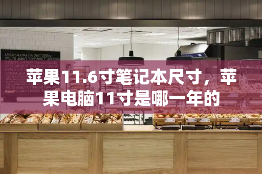 苹果11.6寸笔记本尺寸，苹果电脑11寸是哪一年的