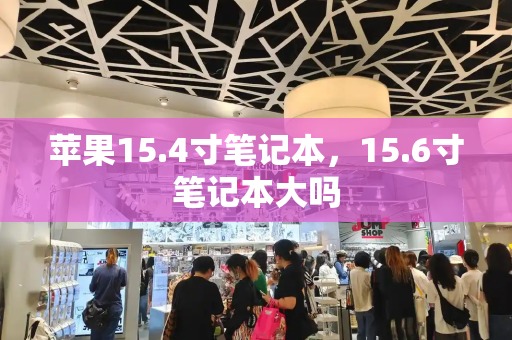 苹果15.4寸笔记本，15.6寸笔记本大吗-第1张图片-星选测评