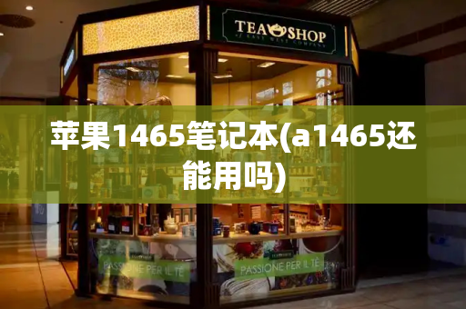 苹果1465笔记本(a1465还能用吗)
