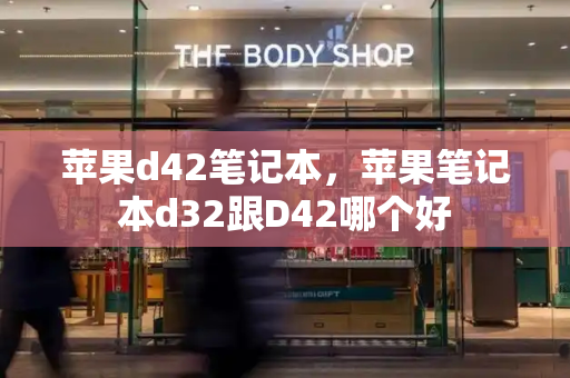 苹果d42笔记本，苹果笔记本d32跟D42哪个好