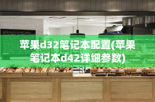 苹果d32笔记本配置(苹果笔记本d42详细参数)-第1张图片-星选测评