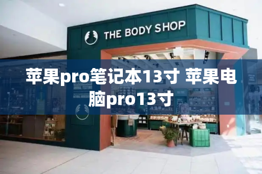 苹果pro笔记本13寸 苹果电脑pro13寸-第1张图片-星选测评