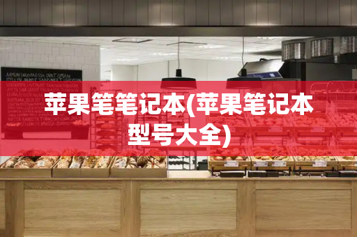 苹果笔笔记本(苹果笔记本型号大全)