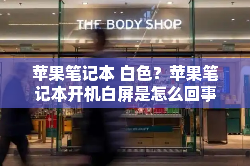 苹果笔记本 白色？苹果笔记本开机白屏是怎么回事-第1张图片-星选测评