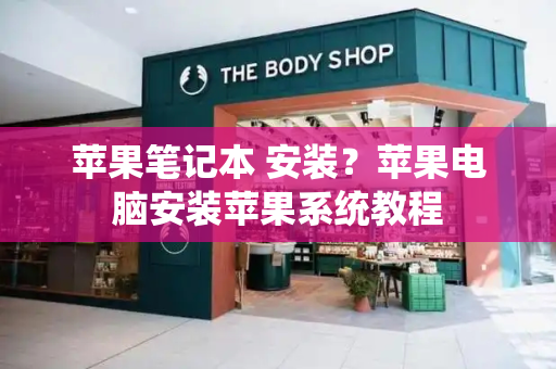 苹果笔记本 安装？苹果电脑安装苹果系统教程-第1张图片-星选测评