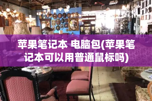 苹果笔记本 电脑包(苹果笔记本可以用普通鼠标吗)-第1张图片-星选测评